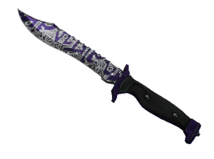 ★ Bowie Knife | Freehand (Minimal Wear)