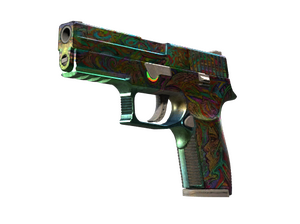 P250 | Видения (Закалённое в боях)