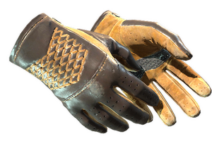 ★ Driver Gloves | Overtake (Field-Tested)