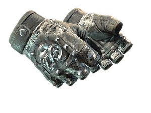 ★ Broken Fang Gloves | Unhinged (Field-Tested)